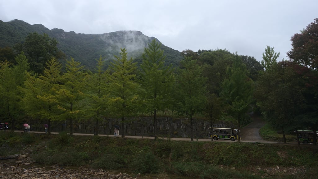 andong_0010