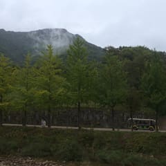 andong_0010