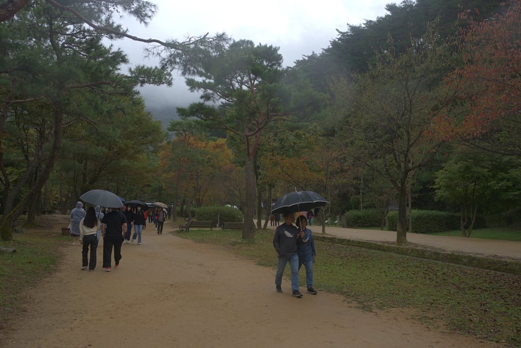 andong_0019