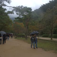 andong_0019
