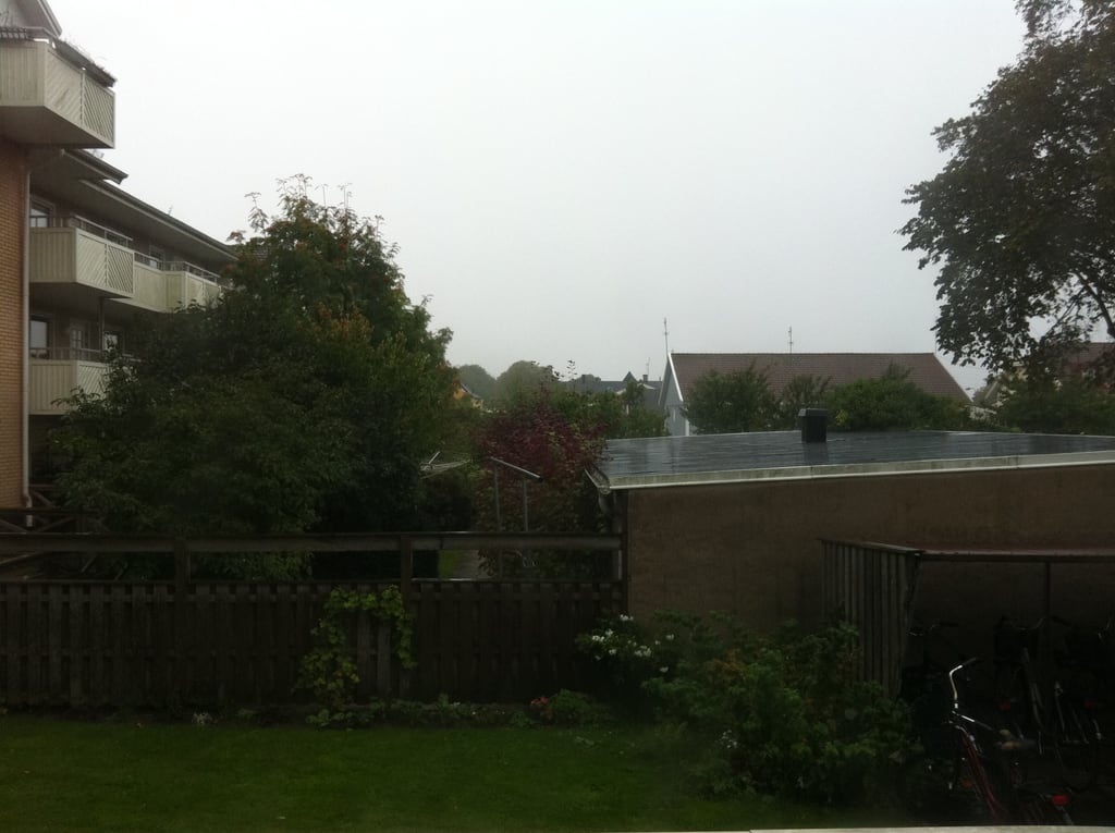 Regen