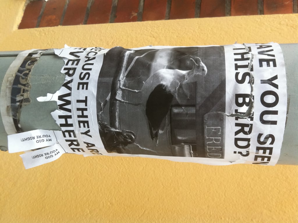 4 Tage später