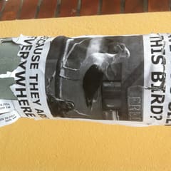 4 Tage später