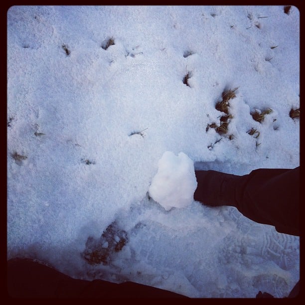 Schneeball