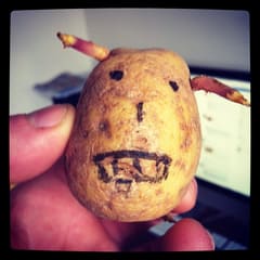 Potato devil