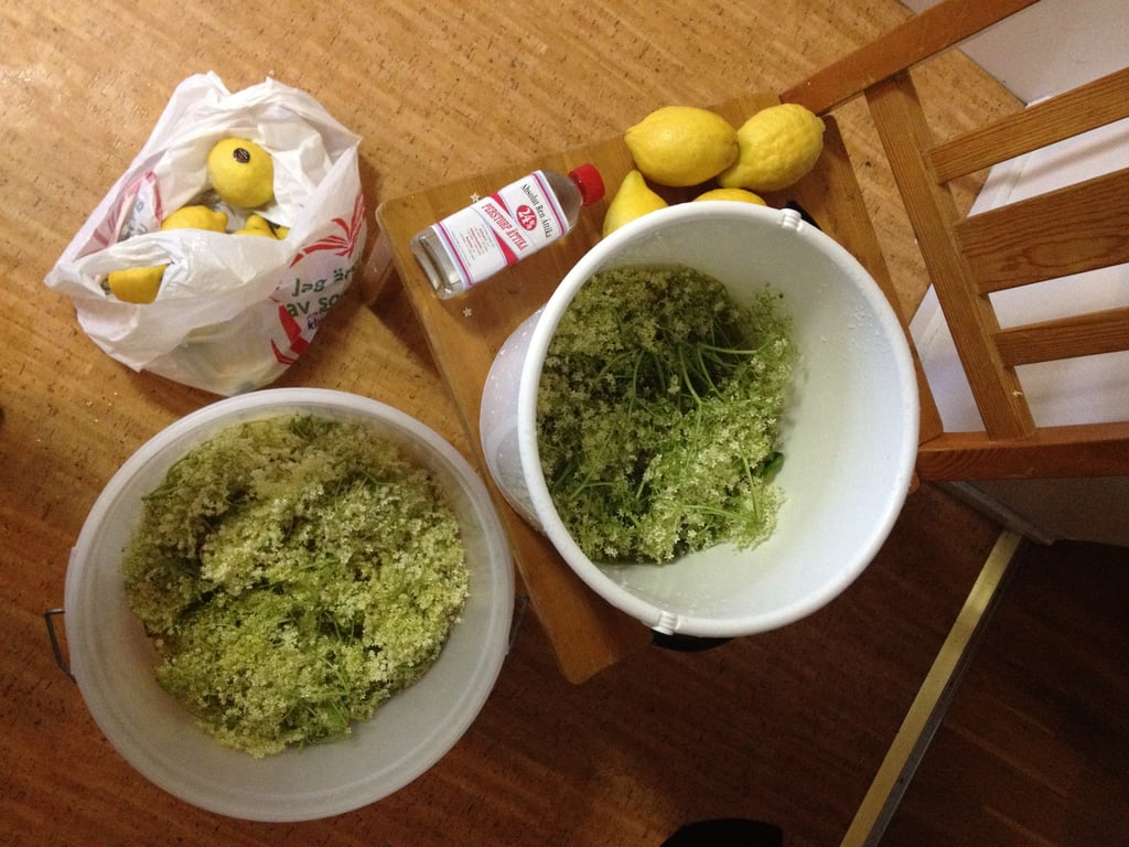 Elderberry flower Champagne