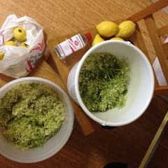 Elderberry flower Champagne