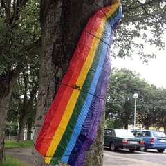 Pride tree?