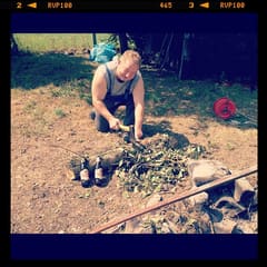 Fire wood