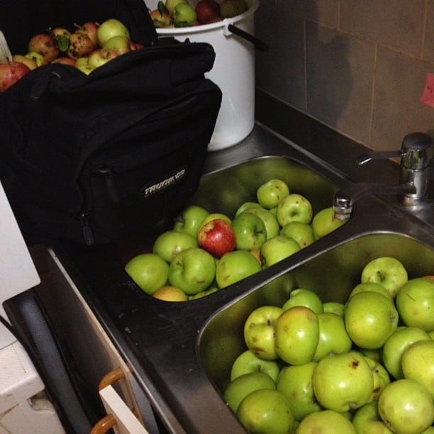 Tomorrow I will produce even more apple juice!