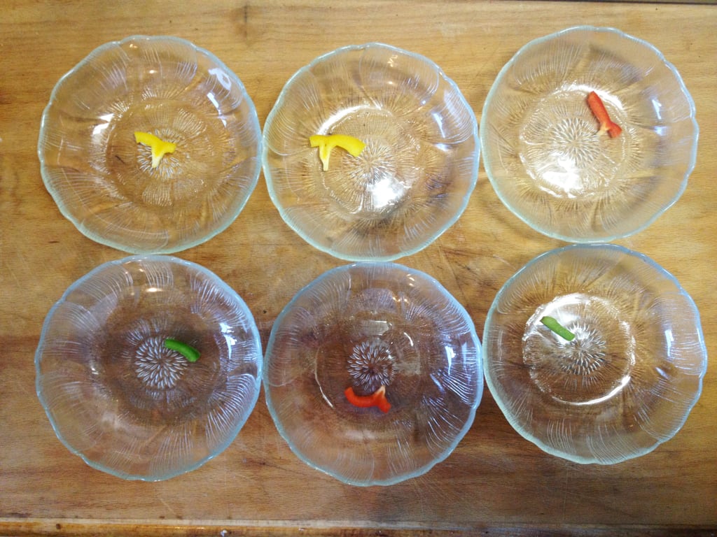 Paprika geschnipselt