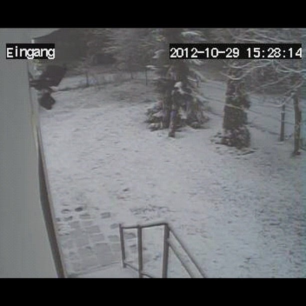 Snow in Poland