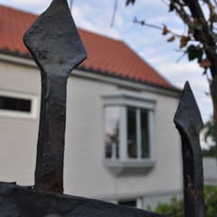 Zaun