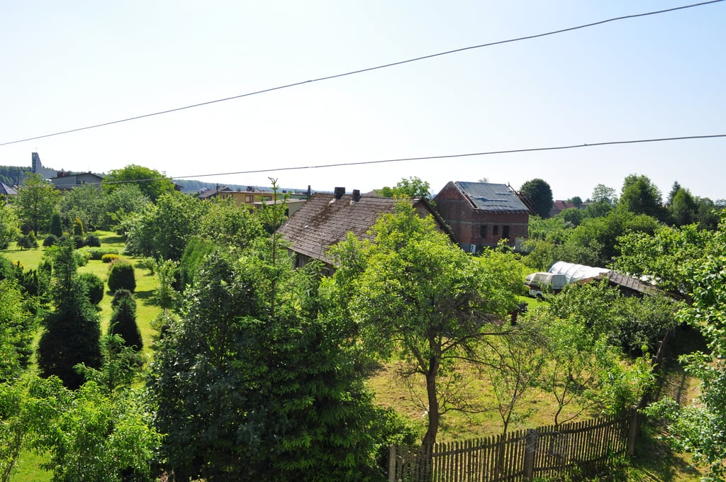 Neighbours