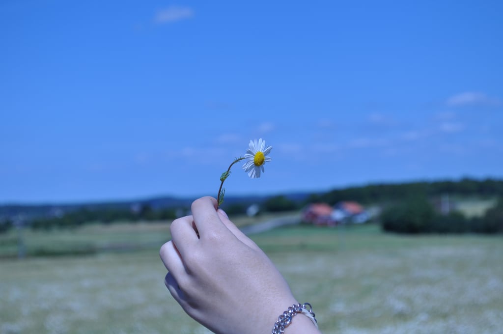 Flower in hand