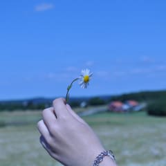 Flower in hand