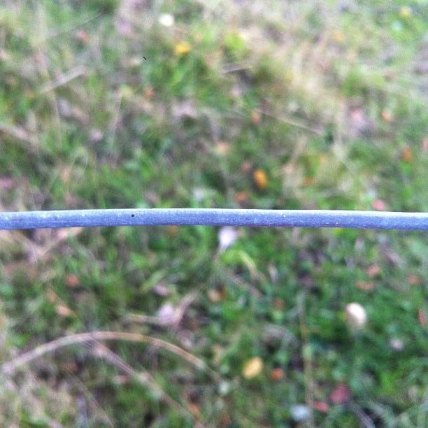 Electric fence.